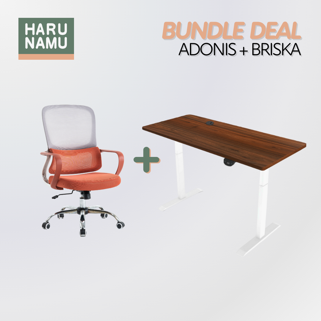 ADONIS x BRISKA Standing Desk and Chair Bundle