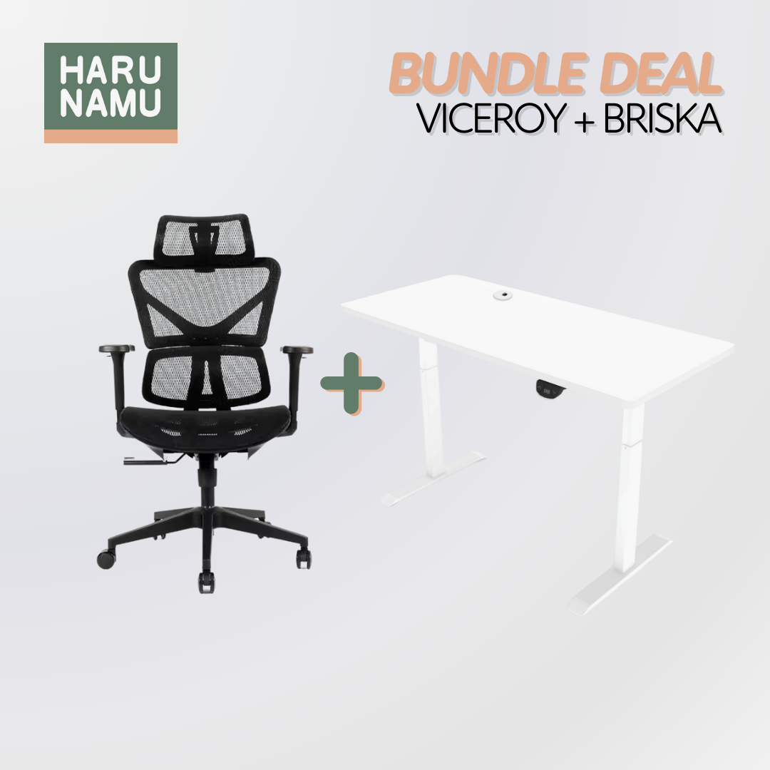 VICEROY x BRISKA Standing Desk and Chair Bundle