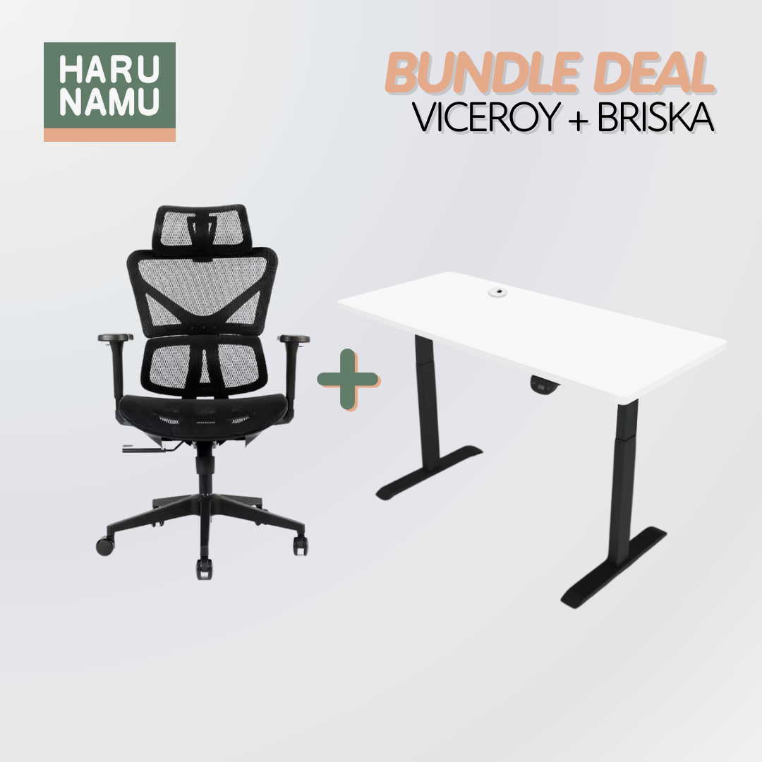 VICEROY x BRISKA Standing Desk and Chair Bundle