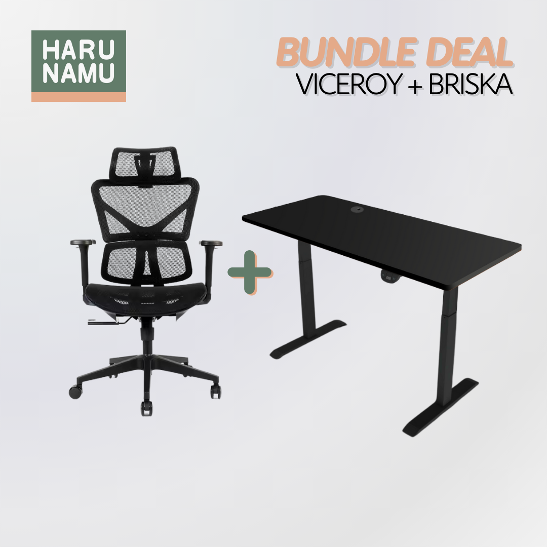 VICEROY x BRISKA Standing Desk and Chair Bundle