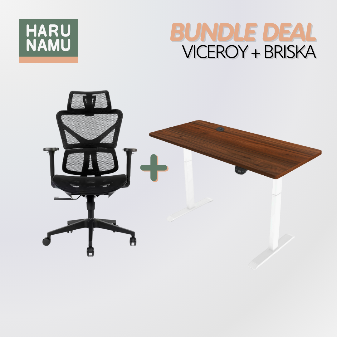 VICEROY x BRISKA Standing Desk and Chair Bundle