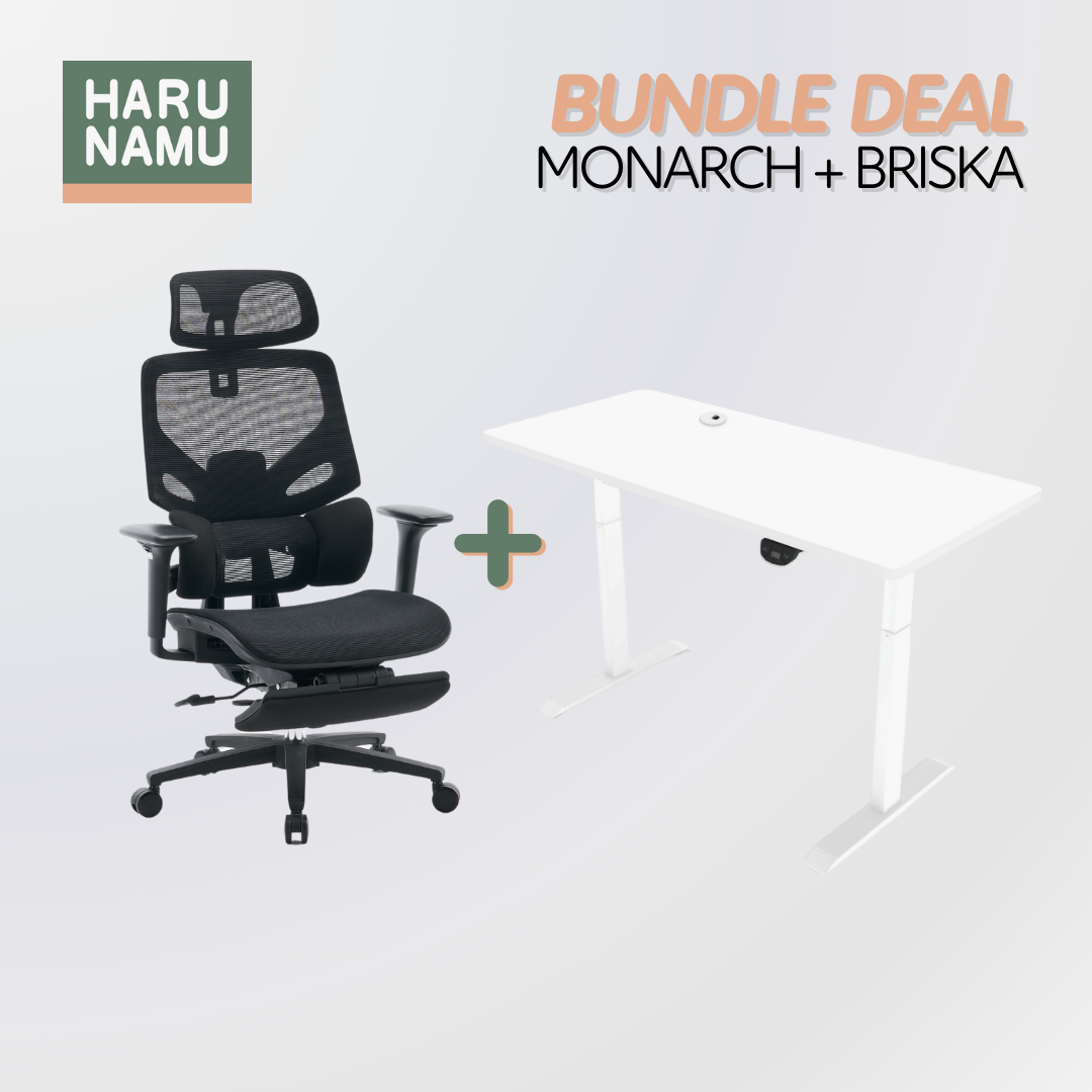 MONARCH x BRISKA Standing Desk and Chair Bundle