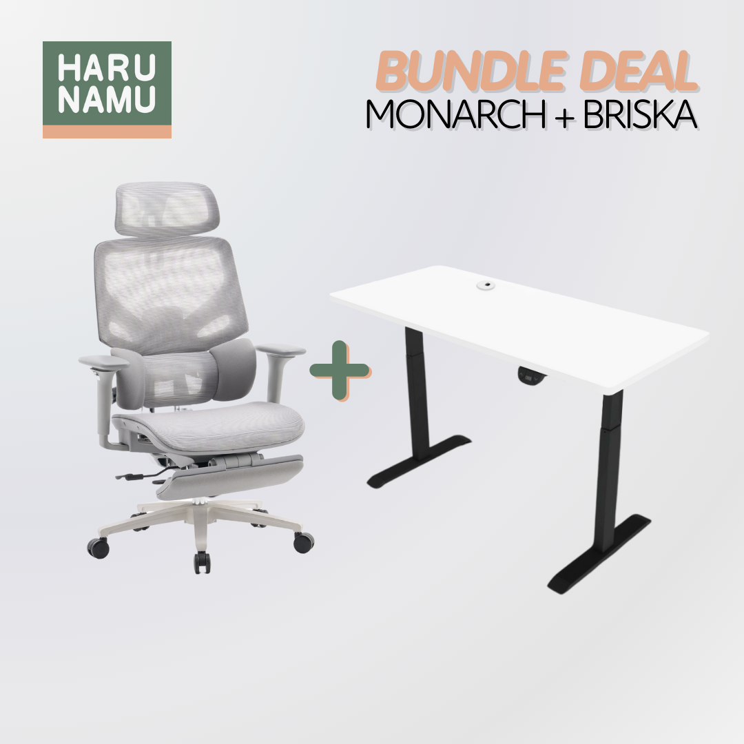 MONARCH x BRISKA Standing Desk and Chair Bundle
