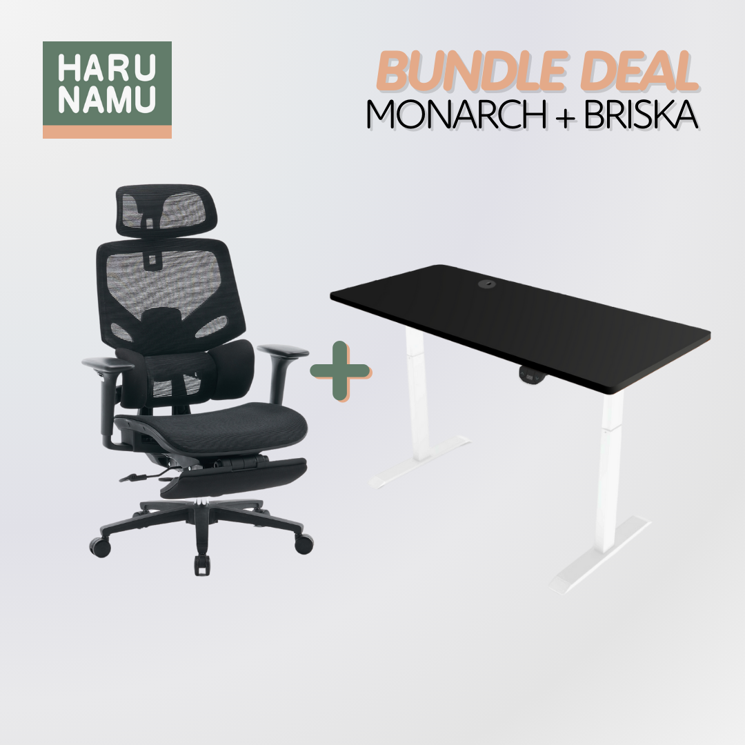MONARCH x BRISKA Standing Desk and Chair Bundle