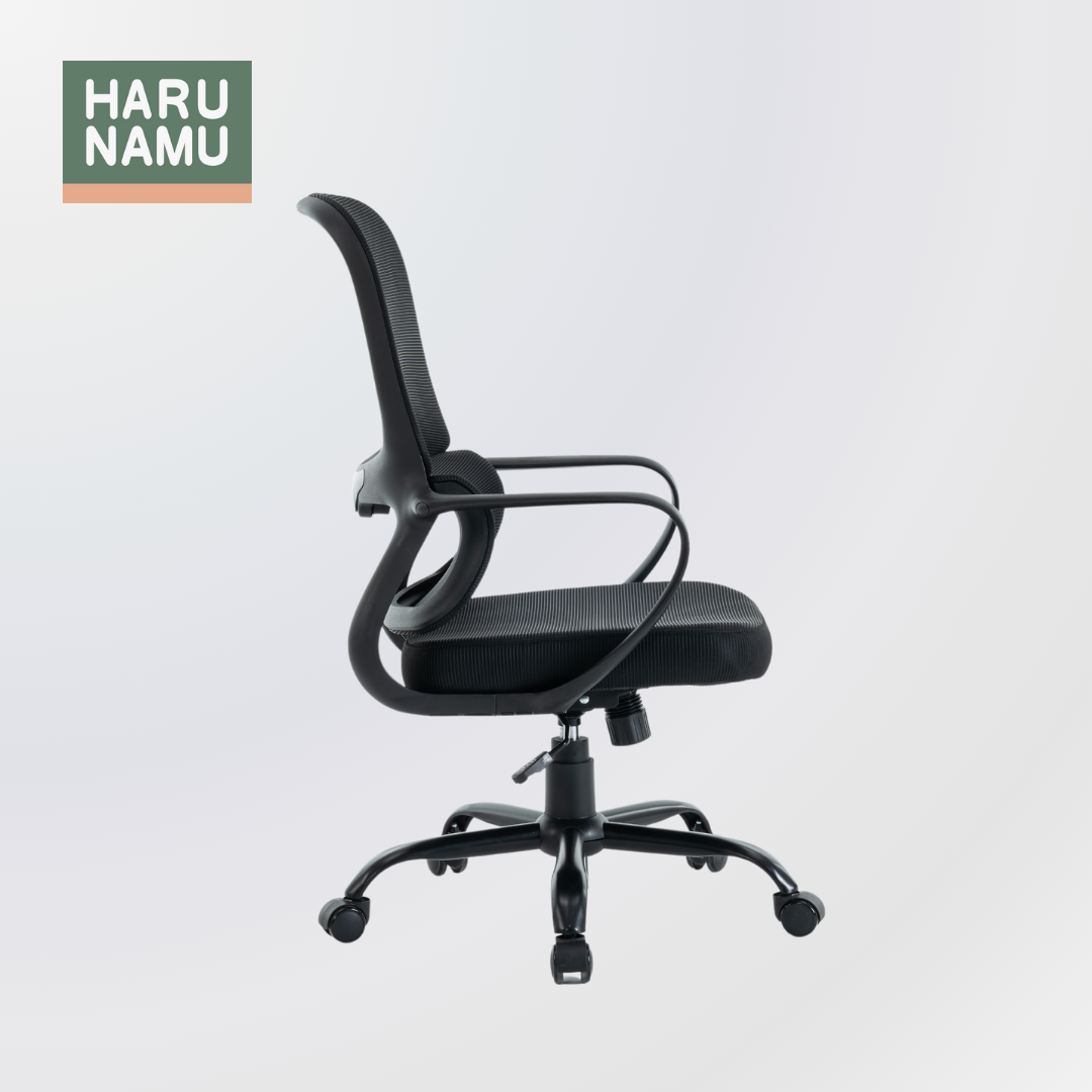 ADONIS Black Ergonomic Office Chair