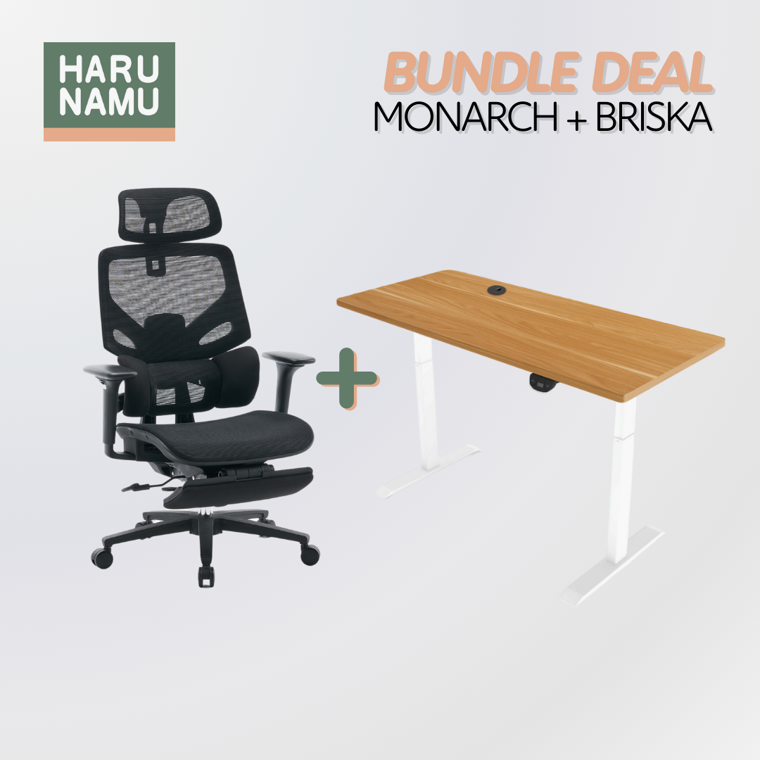 MONARCH x BRISKA Standing Desk and Chair Bundle