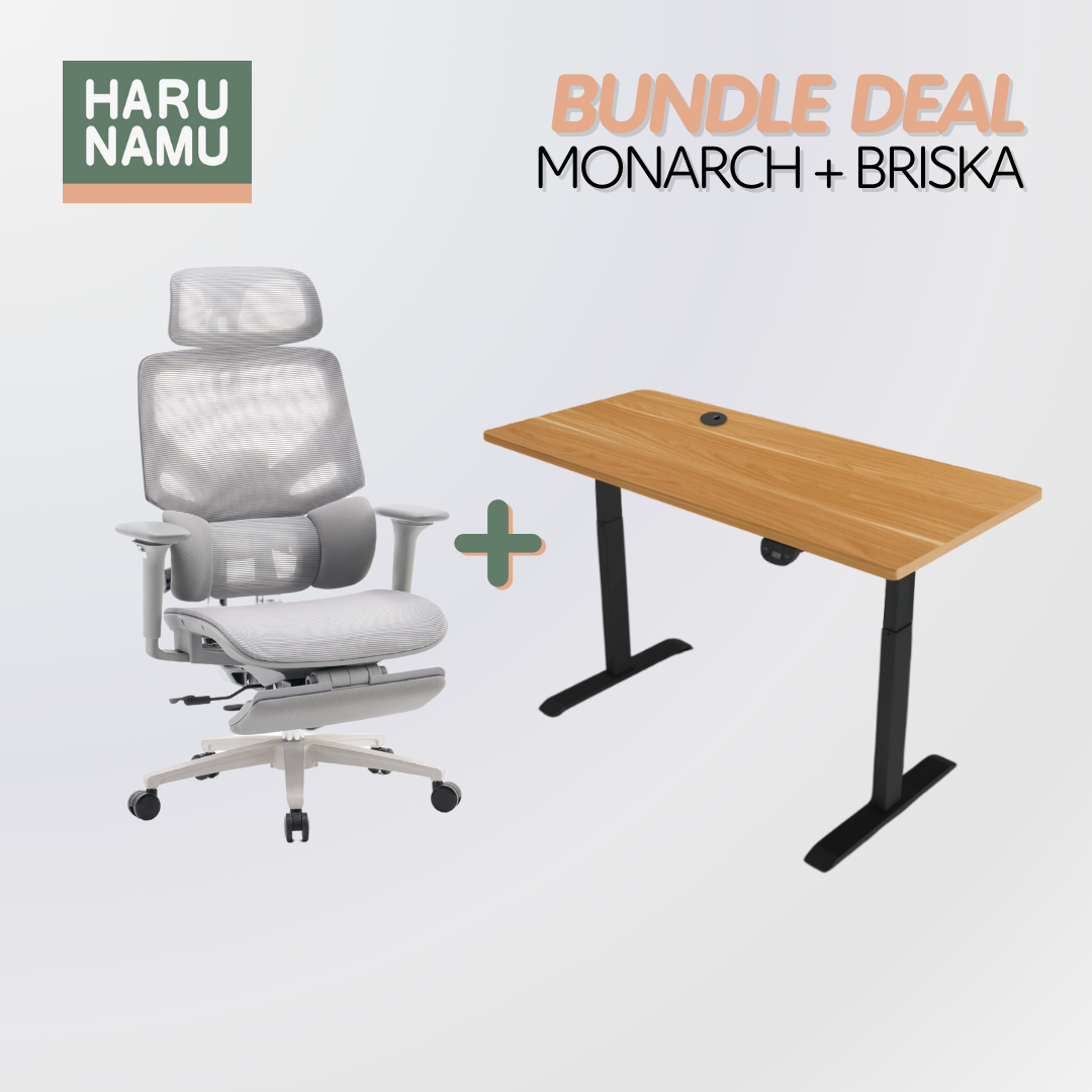 MONARCH x BRISKA Standing Desk and Chair Bundle