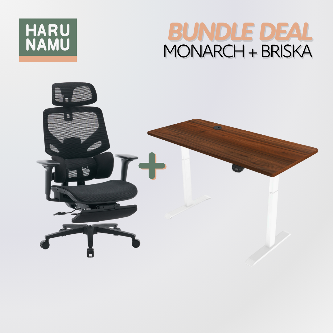 MONARCH x BRISKA Standing Desk and Chair Bundle