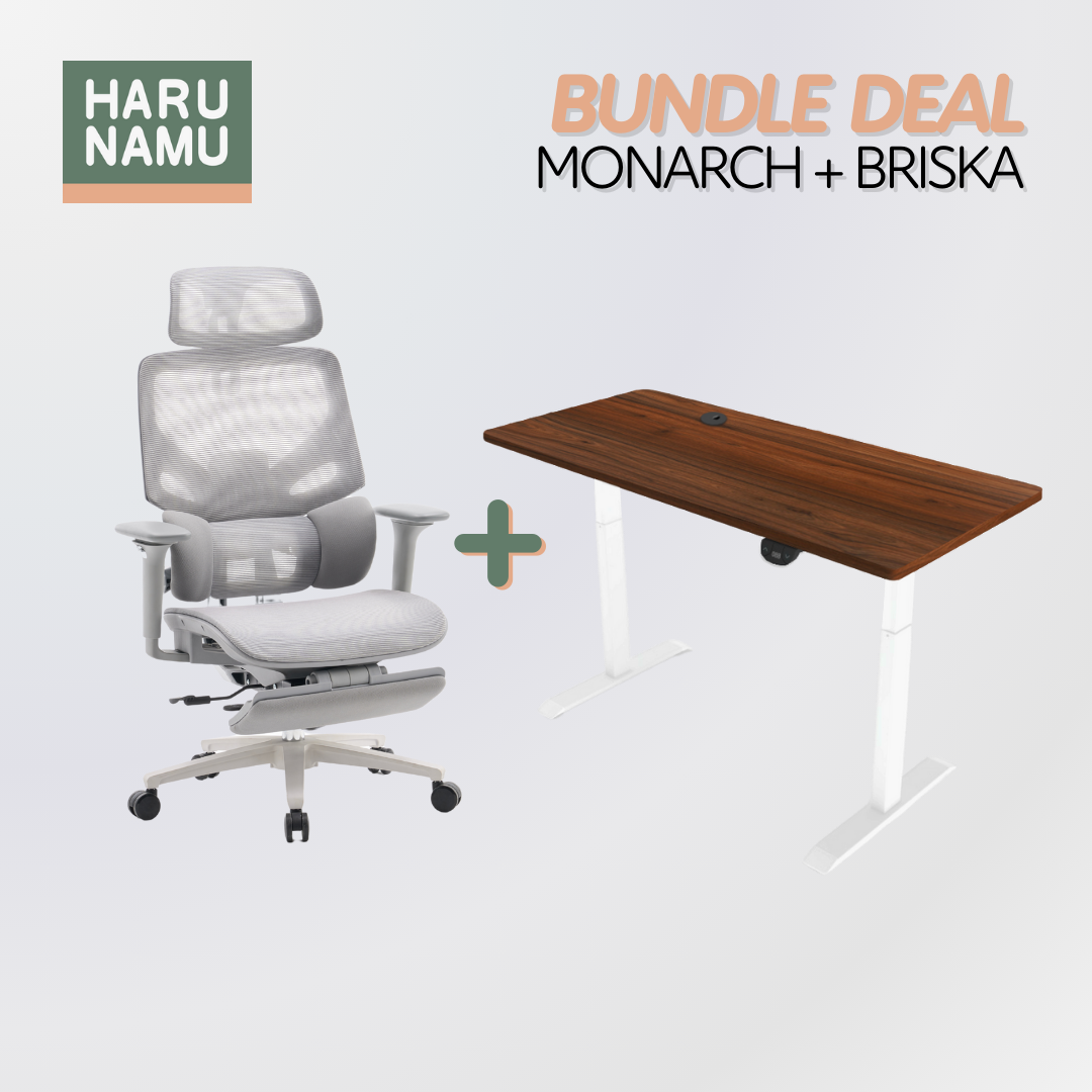 MONARCH x BRISKA Standing Desk and Chair Bundle