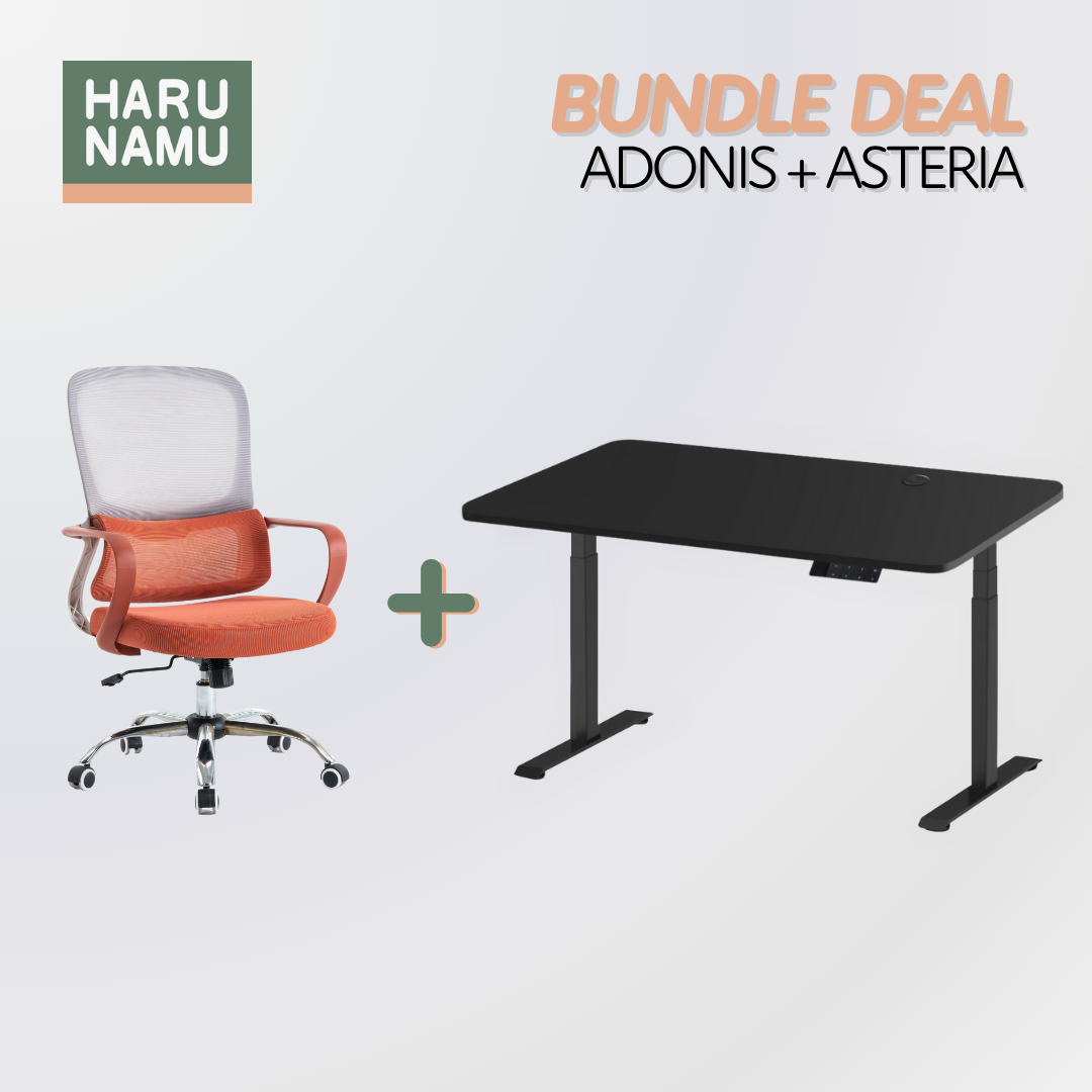 ADONIS x ASTERIA Standing Desk and Chair Bundle