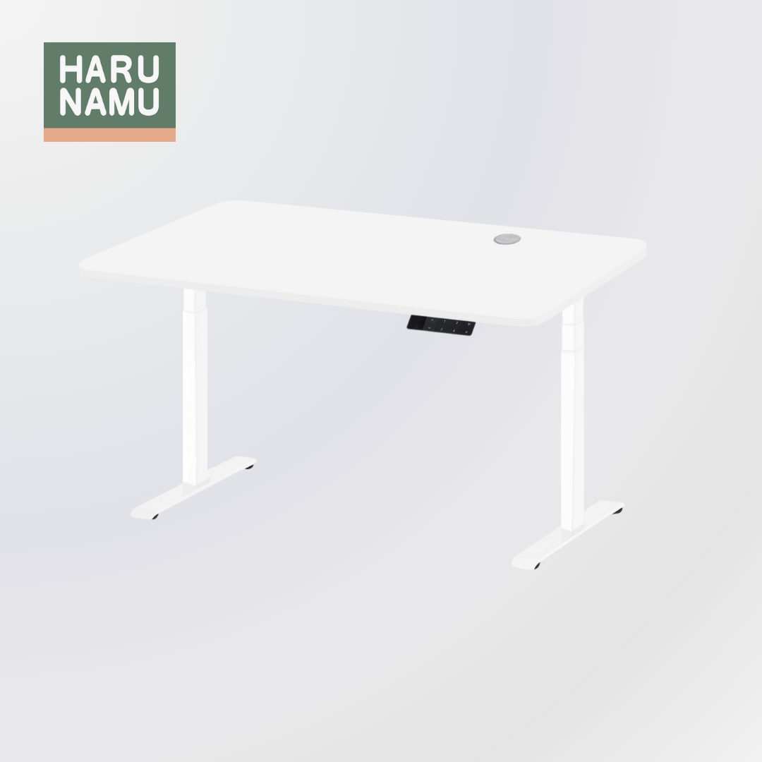 ASTERIA White Standing Desk (4 Memory Presets)