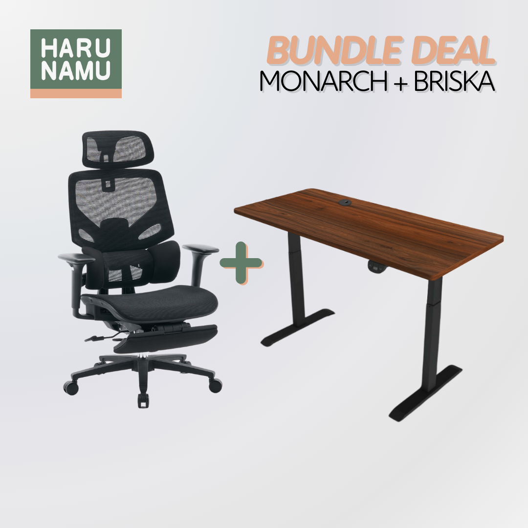 Standing Desk and Chair Bundles - Harunamu