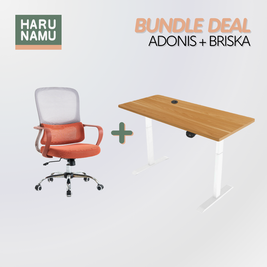 ADONIS x BRISKA Standing Desk and Chair Bundle