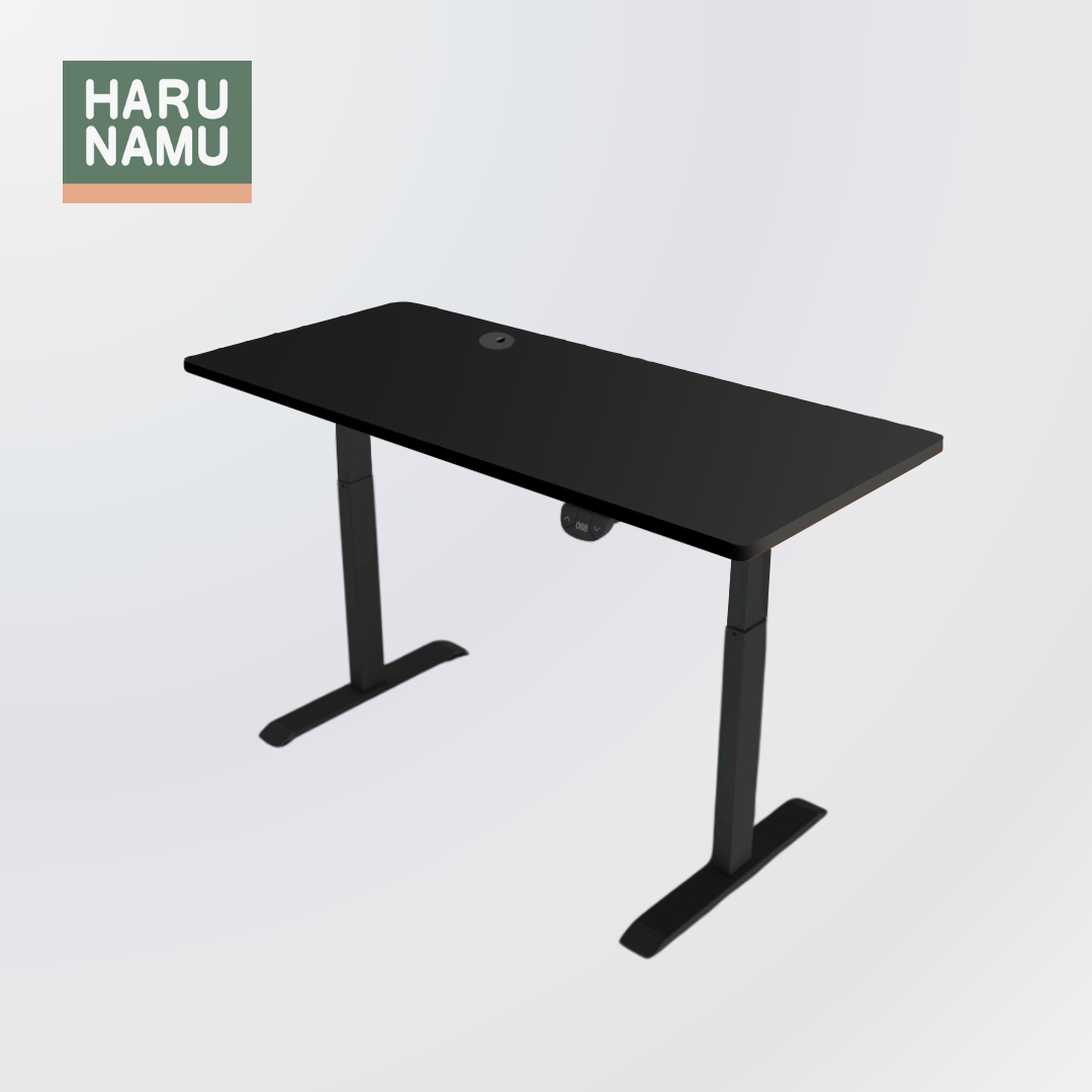 BRISKA Black Standing Desk