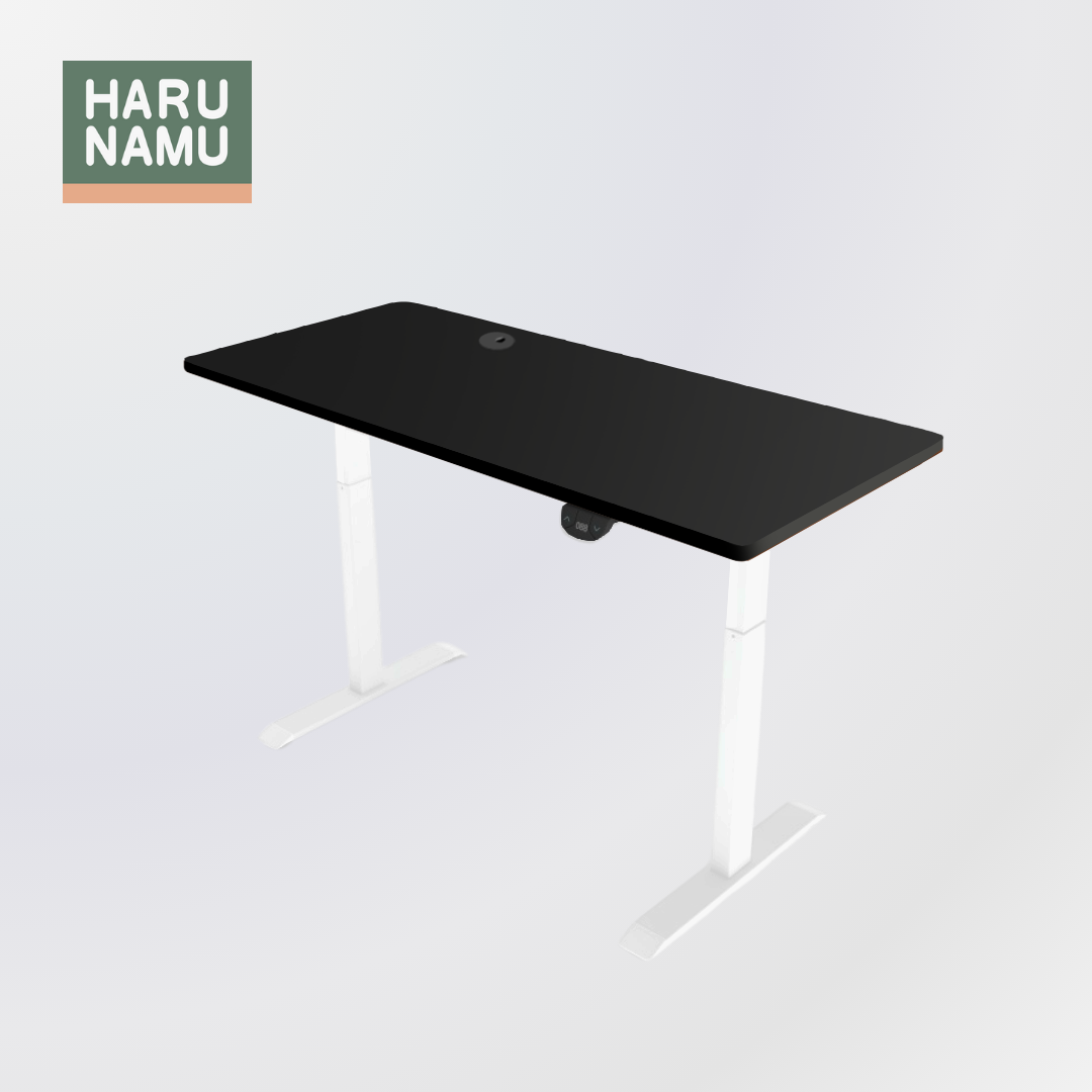 BRISKA Black Standing Desk