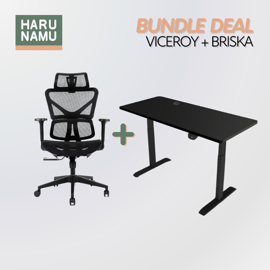 VICEROY x BRISKA Standing Desk and Chair Bundle