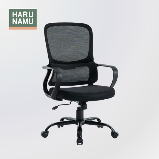 ADONIS Black Ergonomic Office Chair