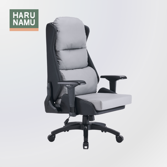 DANAUS Grey Ergonomic Chair