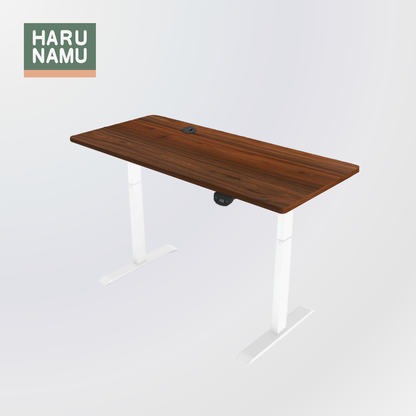 BRISKA Walnut Wood Standing Desk