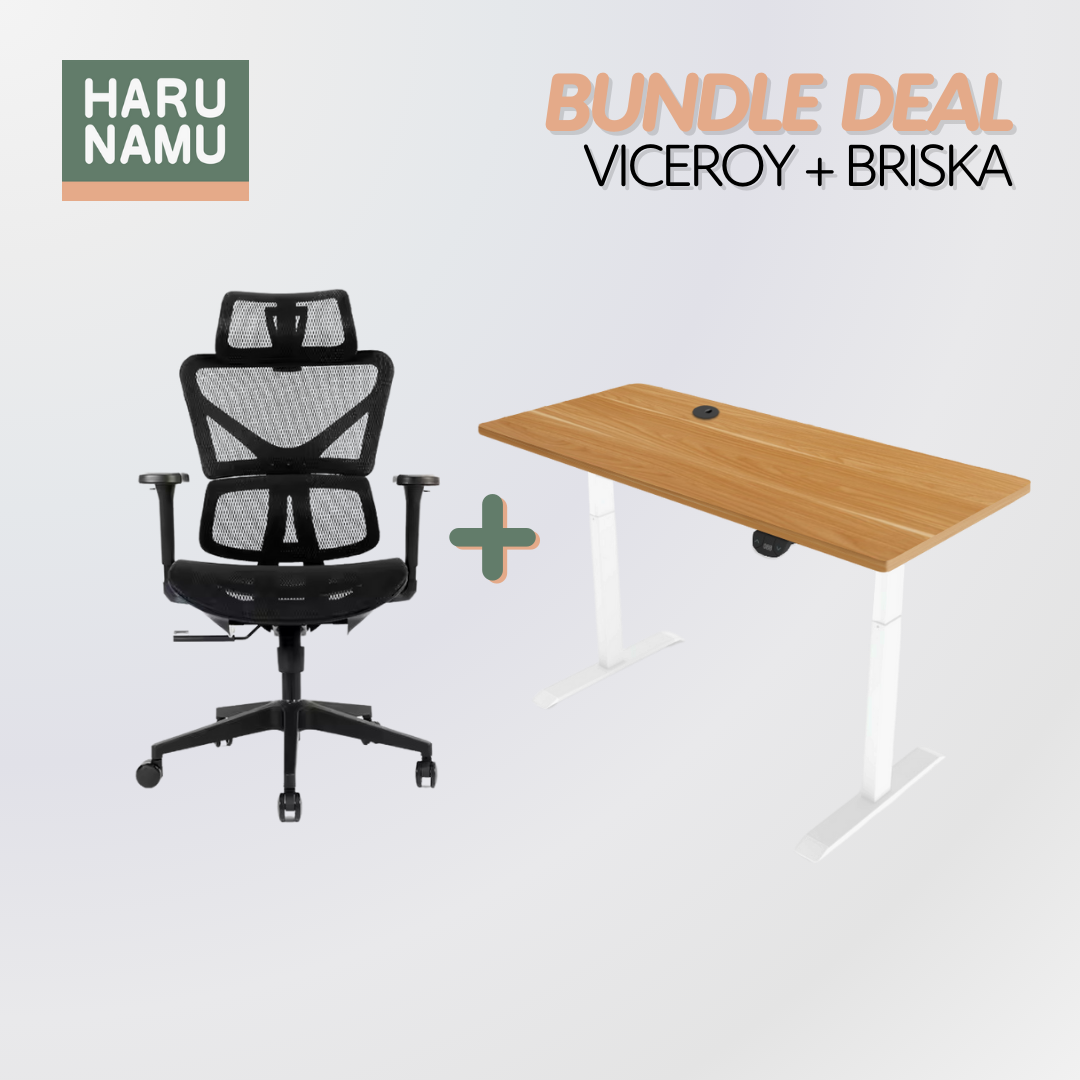 VICEROY x BRISKA Standing Desk and Chair Bundle