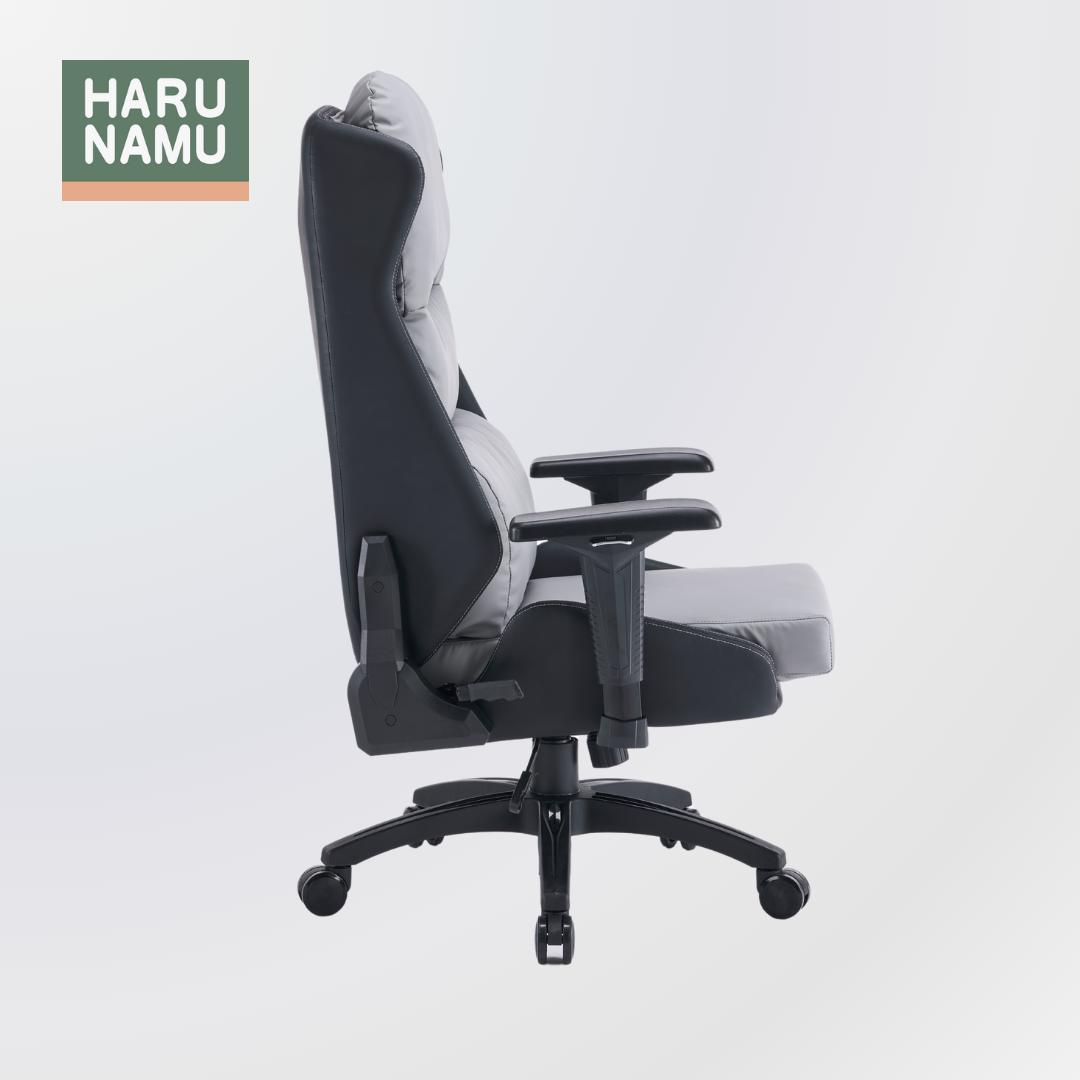 DANAUS Grey Ergonomic Chair