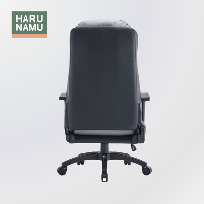 DANAUS Grey Ergonomic Chair