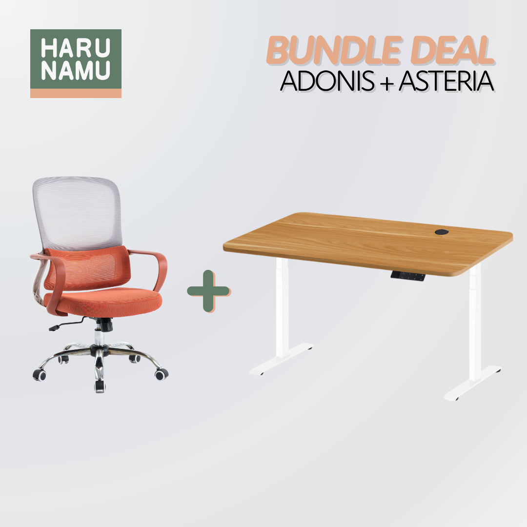 ADONIS x ASTERIA Standing Desk and Chair Bundle