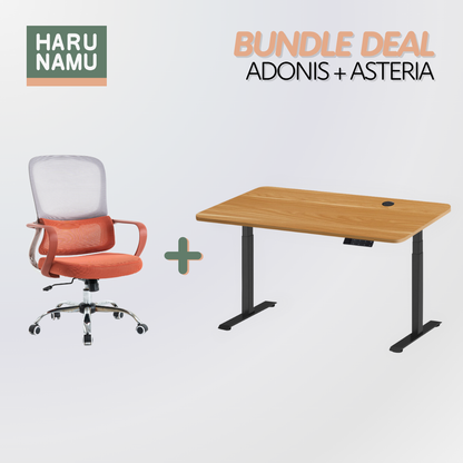 ADONIS x ASTERIA Standing Desk and Chair Bundle