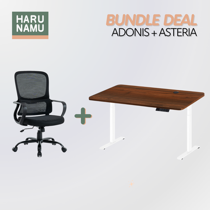 ADONIS x ASTERIA Standing Desk and Chair Bundle