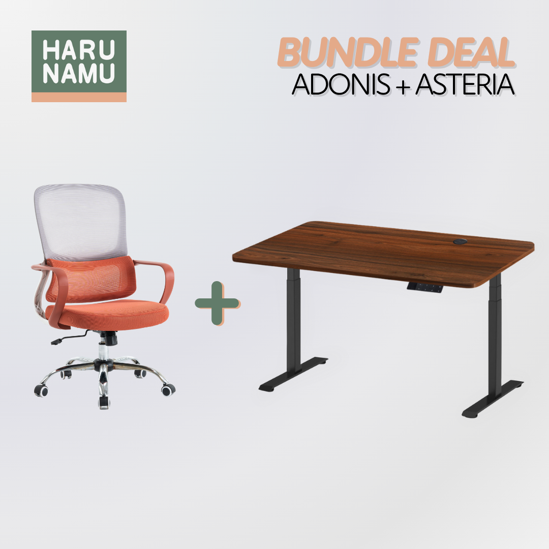 ADONIS x ASTERIA Standing Desk and Chair Bundle