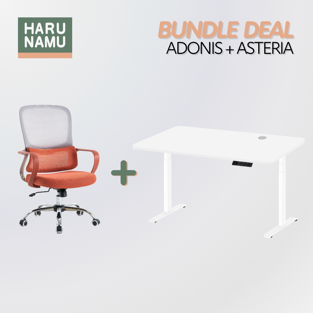 ADONIS x ASTERIA Standing Desk and Chair Bundle