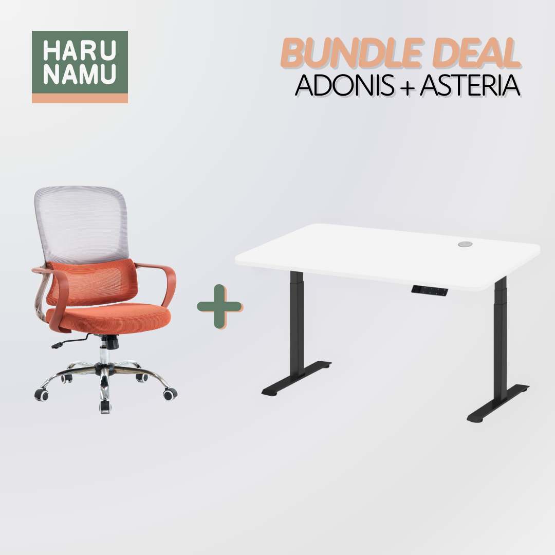 ADONIS x ASTERIA Standing Desk and Chair Bundle
