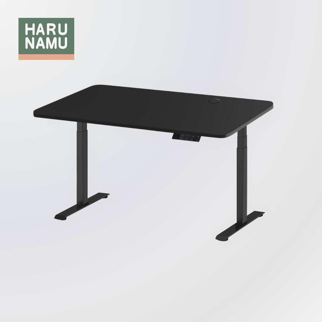 NEW - ASTERIA Black Standing Desk (4 Memory Presets)