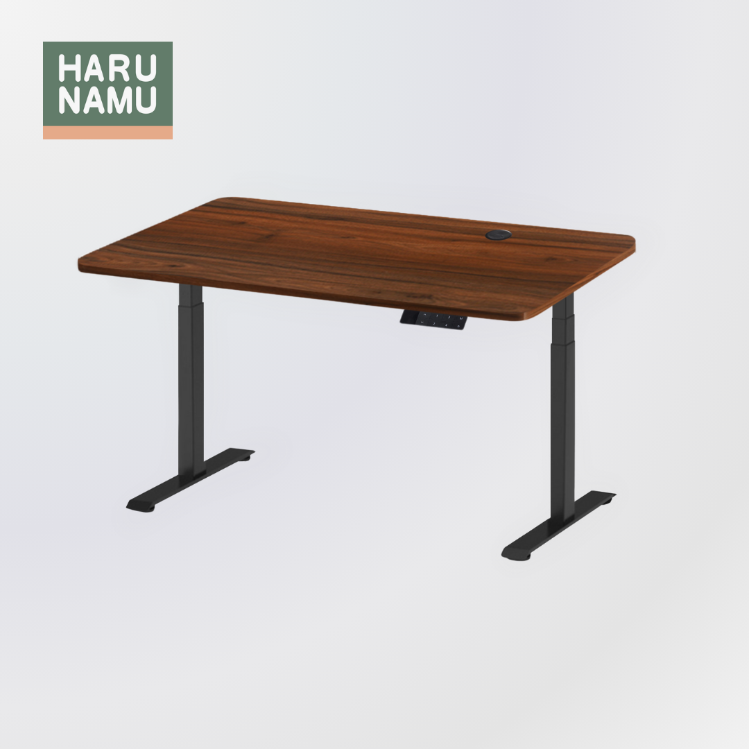 NEW - ASTERIA Walnut Wood Standing Desk (4 Memory Presets)