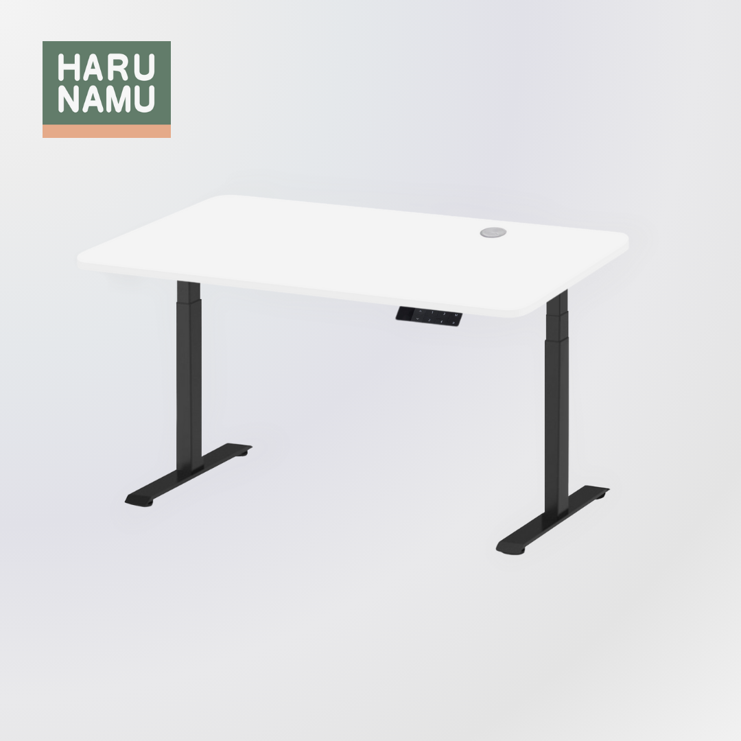 NEW - ASTERIA White Standing Desk (4 Memory Presets)