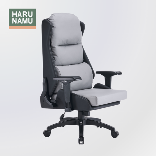 DANAUS Grey Executive Chair