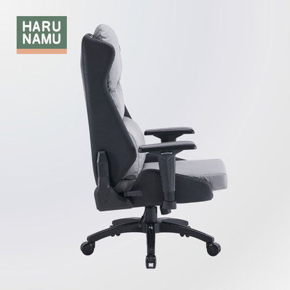 DANAUS Grey Executive Chair

