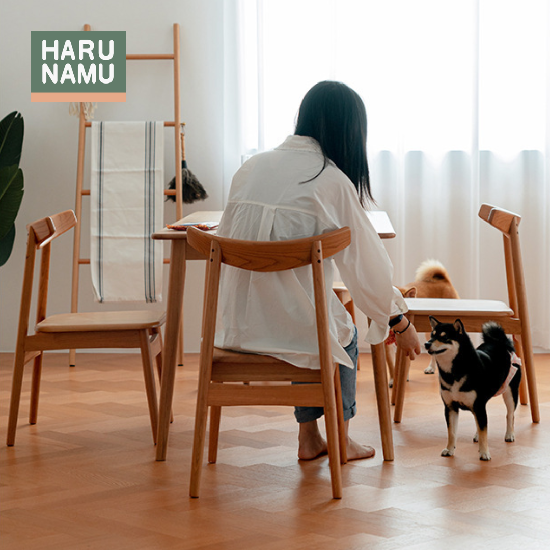 IKO Solid Wood Chair