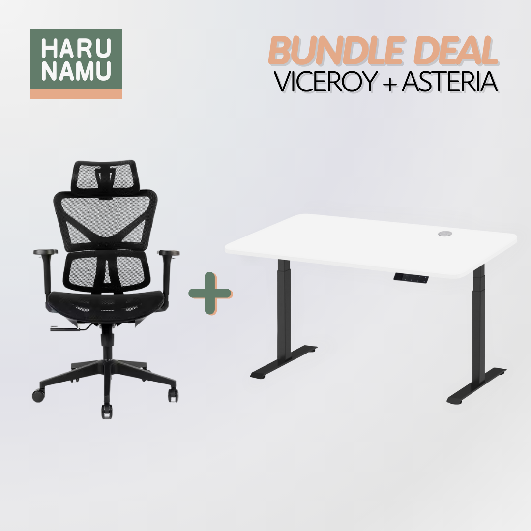 VICEROY x ASTERIA Standing Desk and Chair Bundle