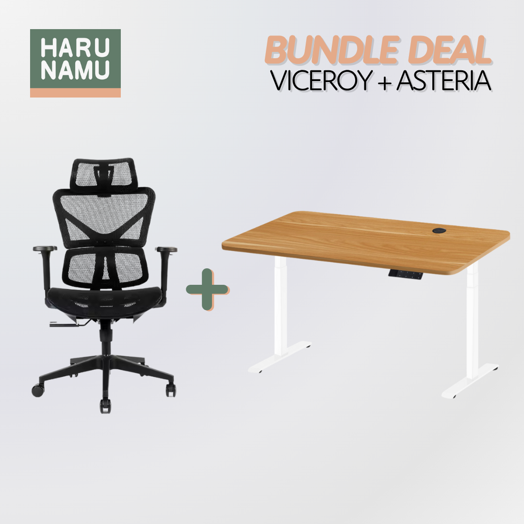 VICEROY x ASTERIA Standing Desk and Chair Bundle