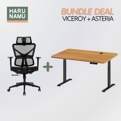 VICEROY x ASTERIA Standing Desk and Chair Bundle