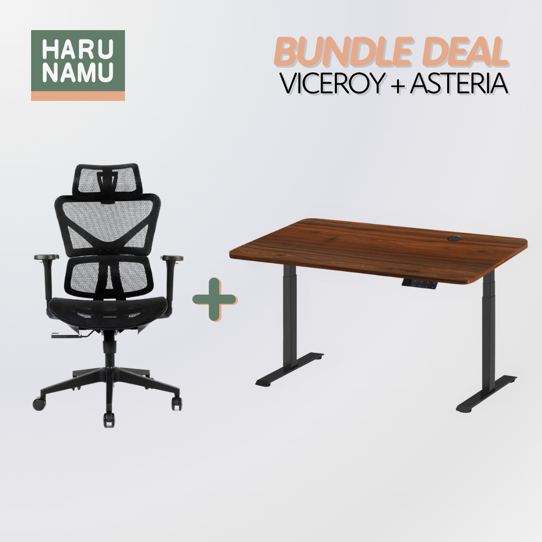 VICEROY x ASTERIA Standing Desk and Chair Bundle